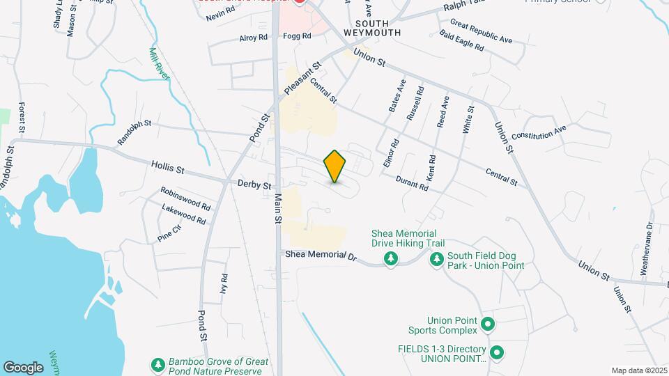 79 Fountain Ln-Unit -6 Map and Location Details