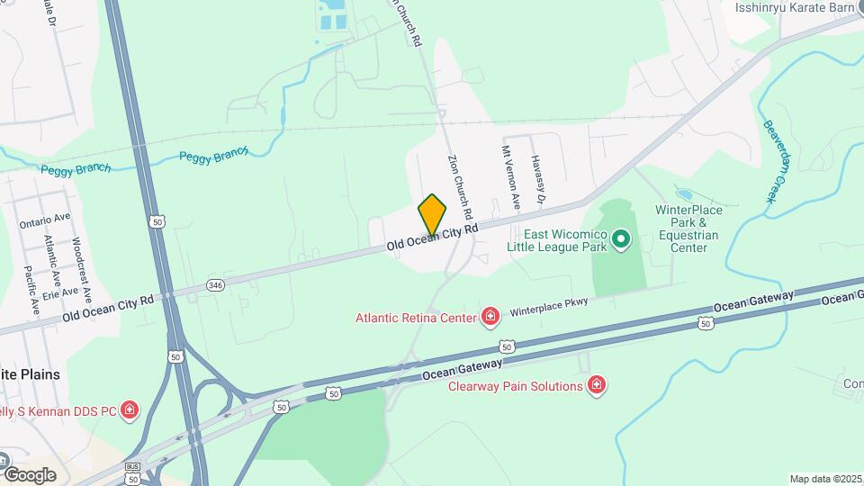 31339 Old Ocean City Rd Map and Location Details