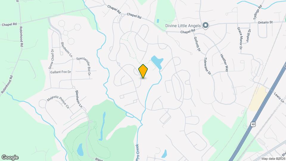 234 Whirlaway Ln Map and Location Details