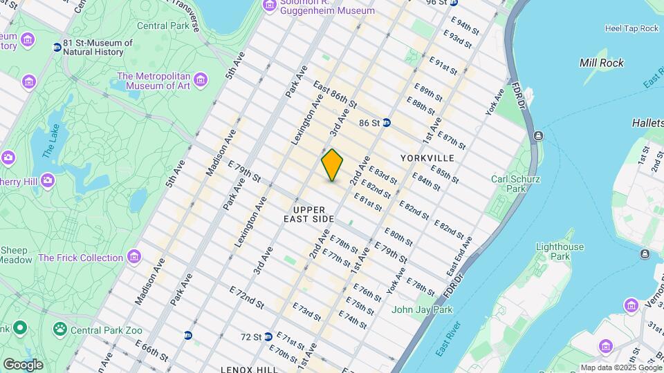 228 E 81st St Mapa y Detalles de la Ubicación