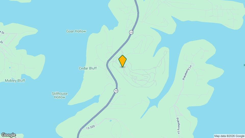 275 Ozark Mountain Resort Dr Mapa y Detalles de la Ubicación