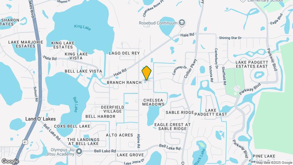 22537 Roderick Dr Mapa y Detalles de la Ubicación