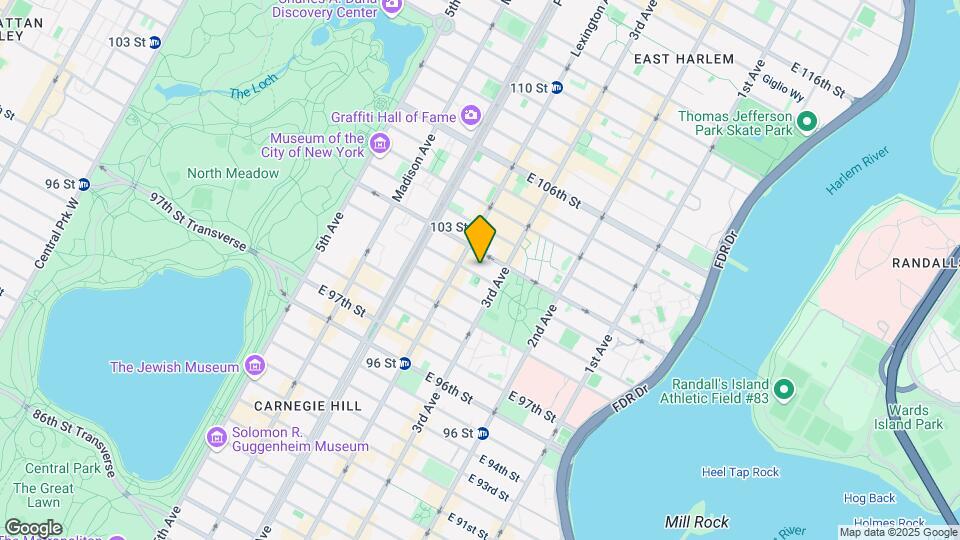 175 E 101st St Mapa y Detalles de la Ubicación