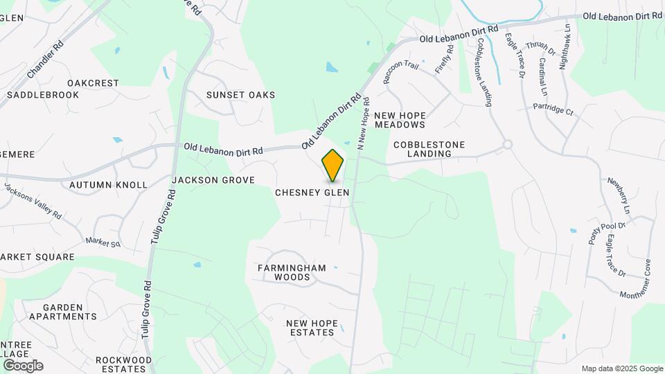 4261 Chesney Glen Dr Map and Location Details