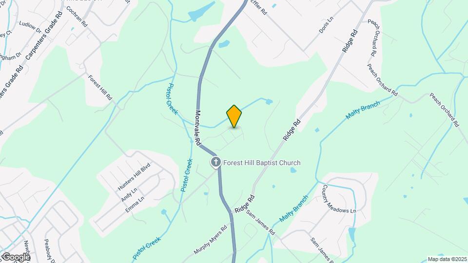 204 Pistol Crk Trl Map and Location Details