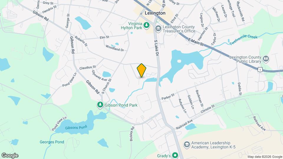 121 Summerfield Dr Map and Location Details