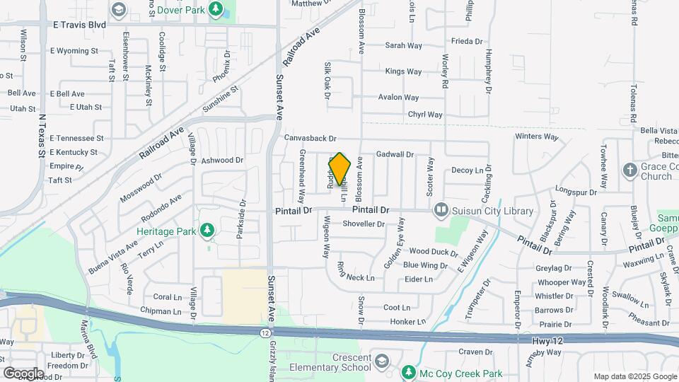 808 Spoonbill Ln Map and Location Details