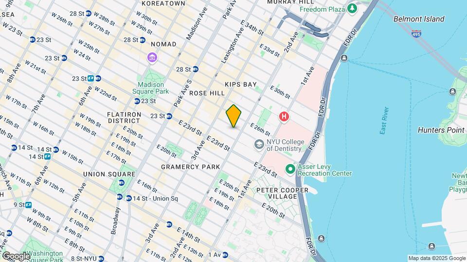 238-240 E 25th St Mapa y Detalles de la Ubicación