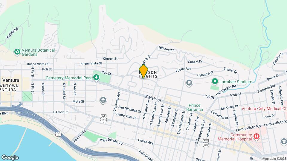 146 Live Oak Dr Map and Location Details