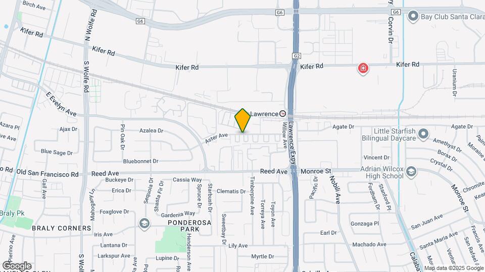 481 Tea Tree Ter Mapa y Detalles de la Ubicación