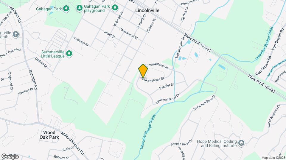 351 Salkahatchie St Map and Location Details