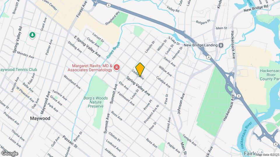 133 Cedar Ave Map and Location Details