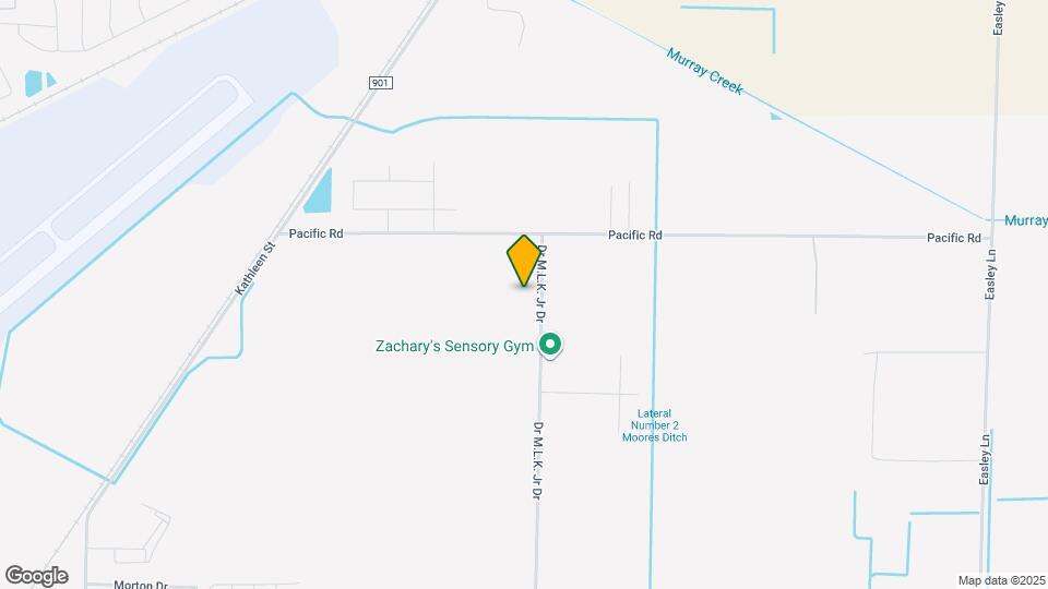 919 Dr M.L.K. Jr Dr Mapa y Detalles de la Ubicación