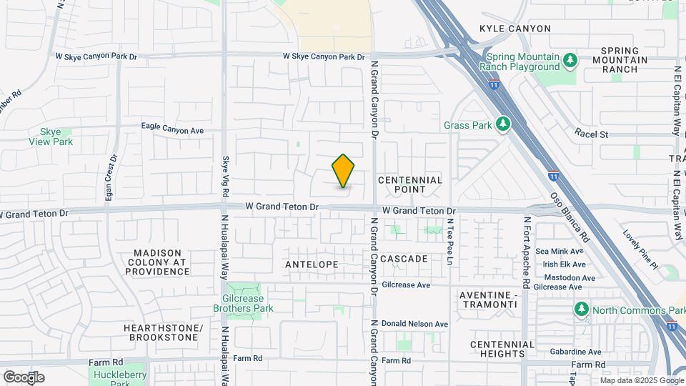 9668 Canyon Landing Ave Map and Location Details