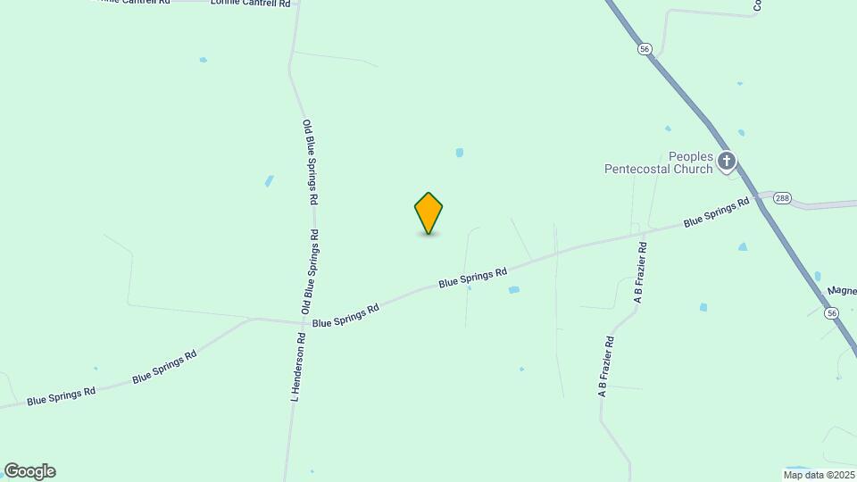 1036 Blue Springs Rd Map and Location Details