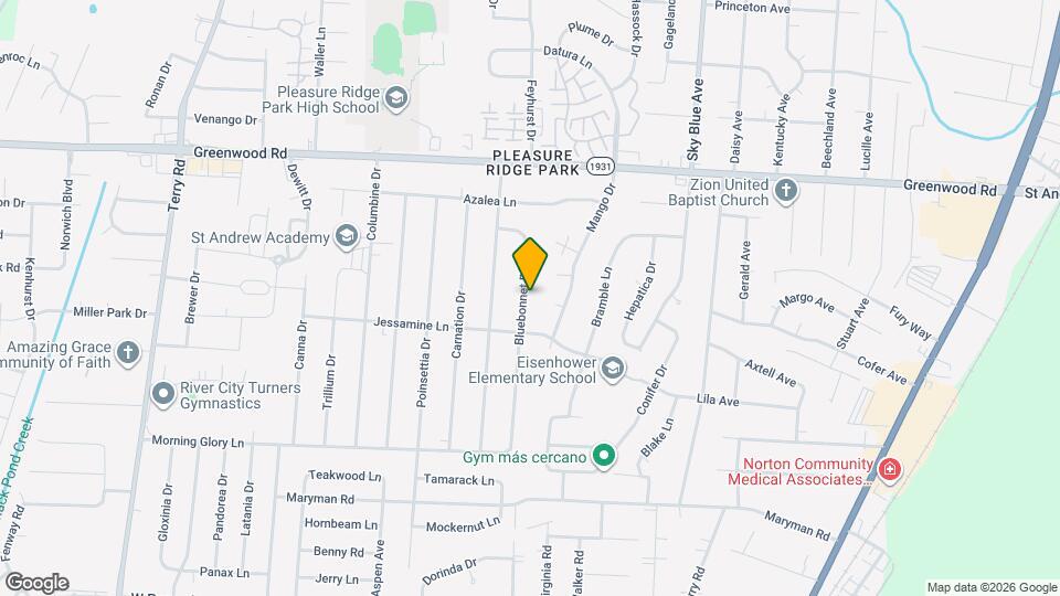 7729 Bluebonnet Rd Map and Location Details