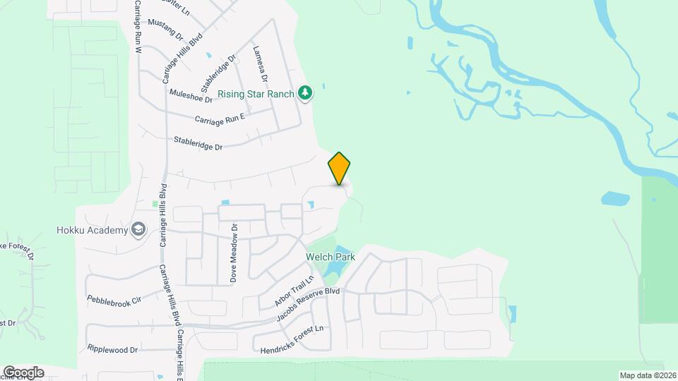 196 Chestnut Meadow Dr Mapa y Detalles de la Ubicación