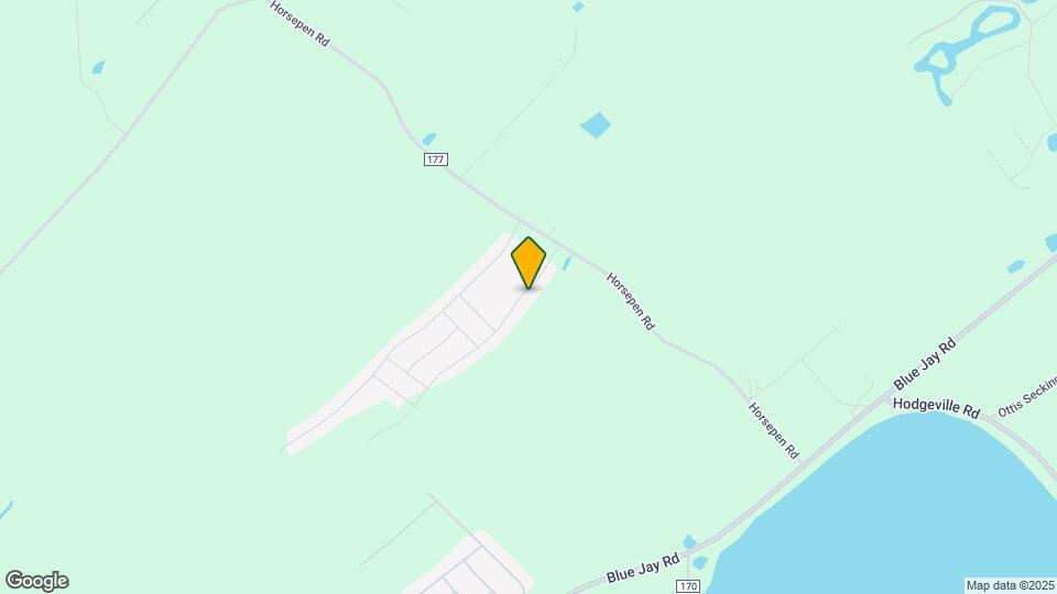 213 Timberlake Dr Map and Location Details