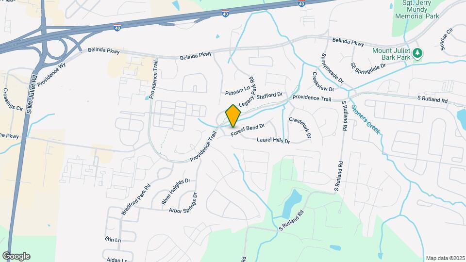302 Forest Bend Dr Mapa y Detalles de la Ubicación