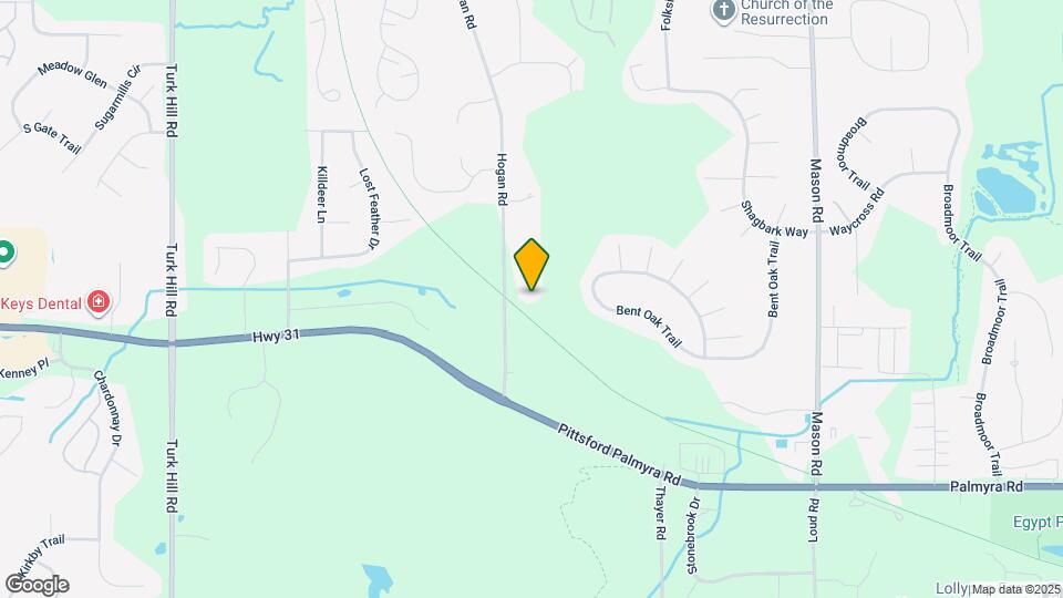 260 Hogan Rd Map and Location Details