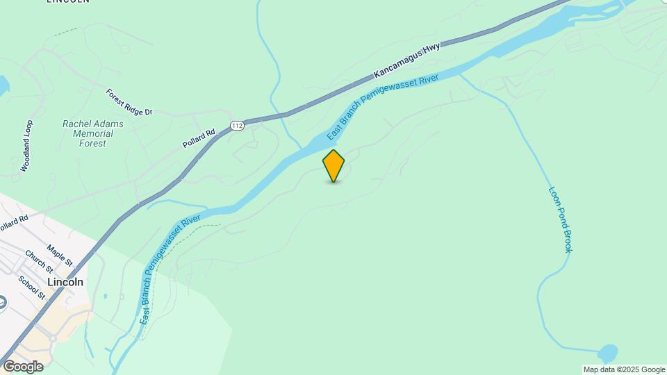 20 Yellow Birch Cir Map and Location Details