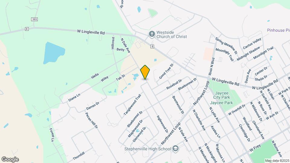 101 Briarwood Ln Mapa y Detalles de la Ubicación