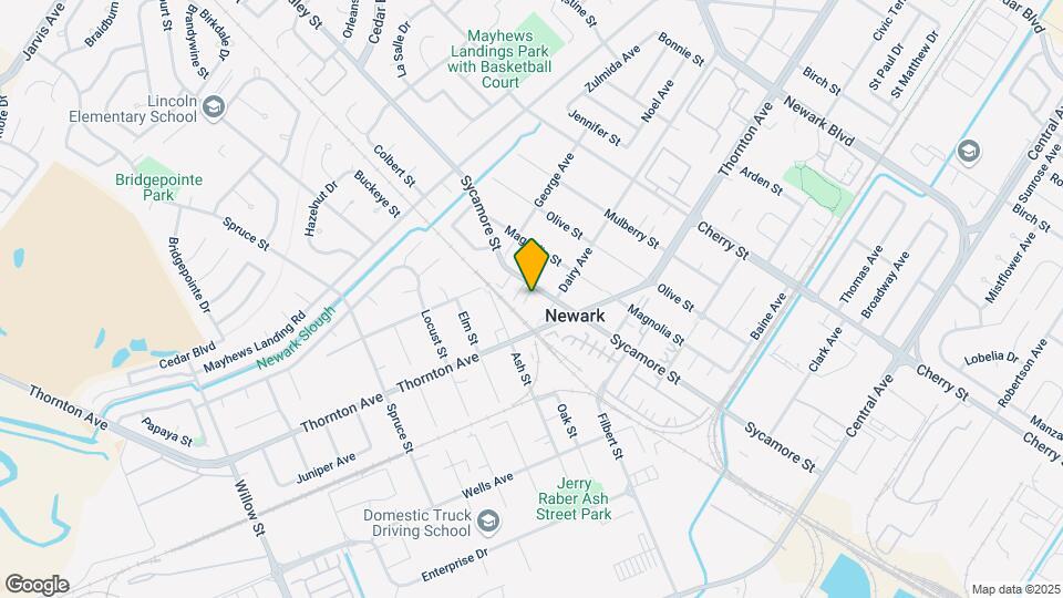 26875 Sycamore St Mapa y Detalles de la Ubicación