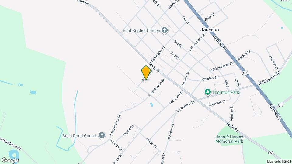 224 Patton Dr Mapa y Detalles de la Ubicación