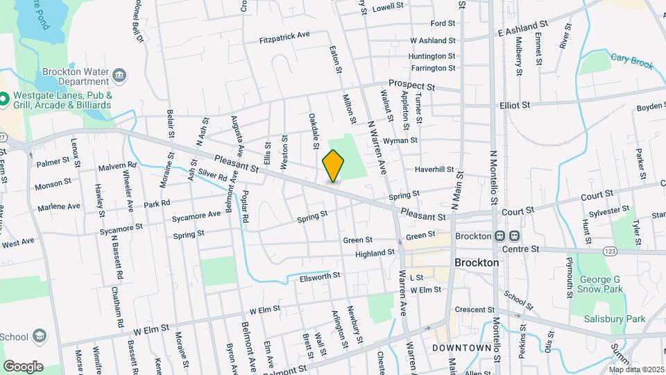 217 Pleasant St Map and Location Details