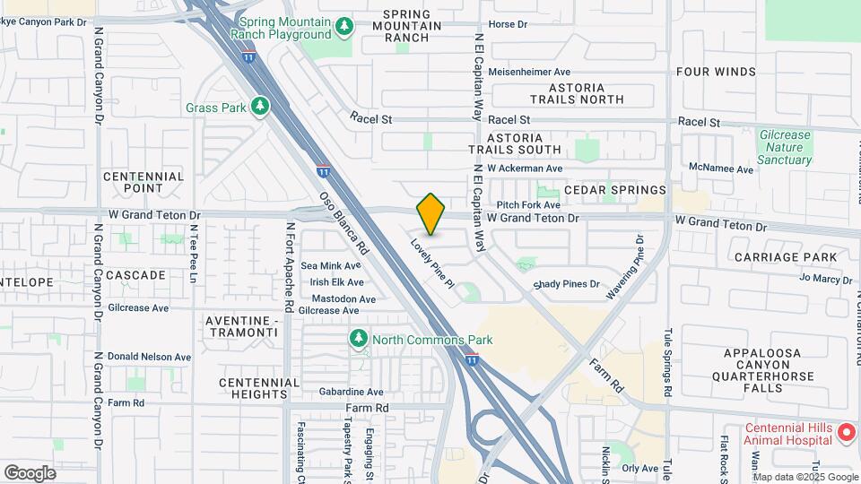 8908 Big Bear Pines Ave Map and Location Details