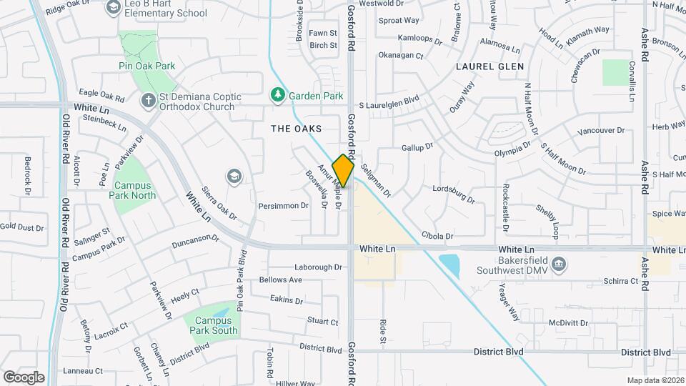 3800 Amur Maple Dr Map and Location Details