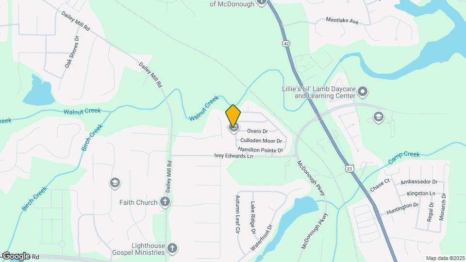 195 Hamilton Pointe Dr Mapa y Detalles de la Ubicación