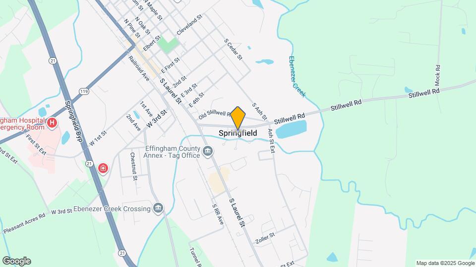 107 Ebenezer Bluff Way Rentals in Springfield, GA