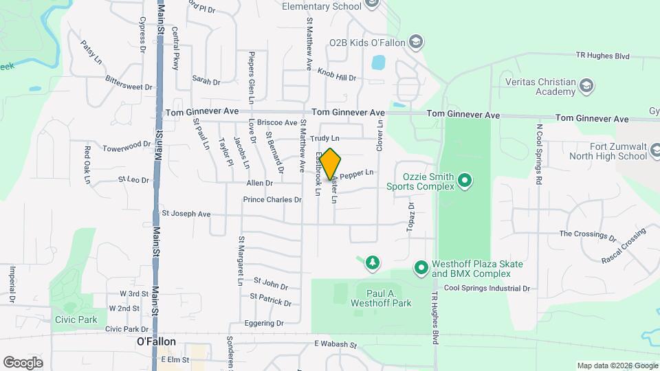705 Aster Ln Mapa y Detalles de la Ubicación