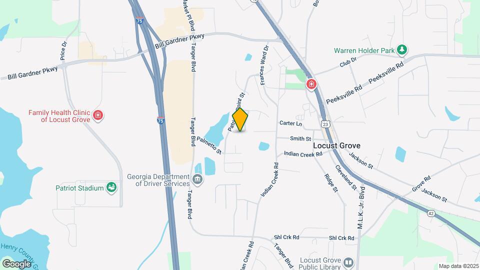 1008 Allegiance Dr Mapa y Detalles de la Ubicación