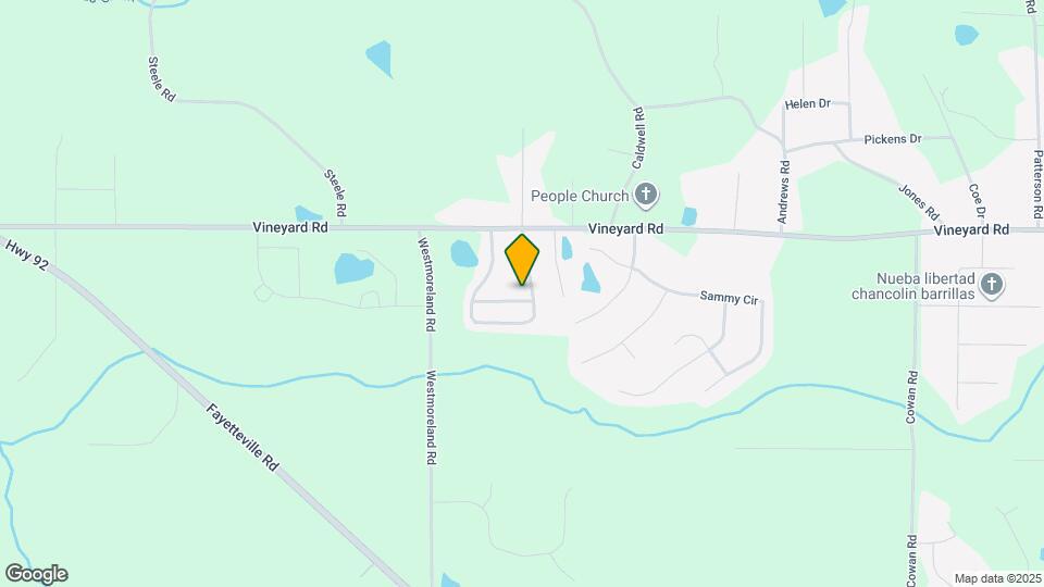 303 Vineyard Ridge Ln Map and Location Details