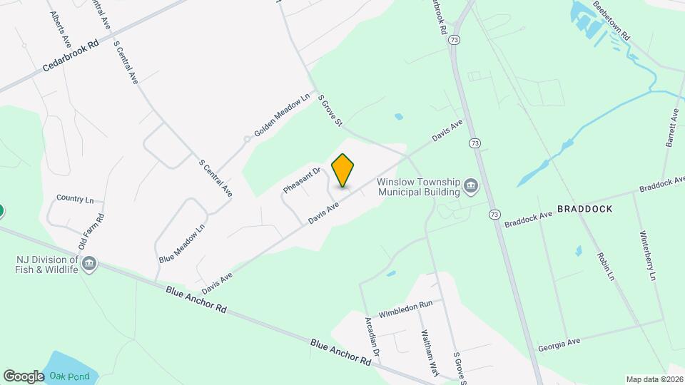 125 Davis Ave Map and Location Details