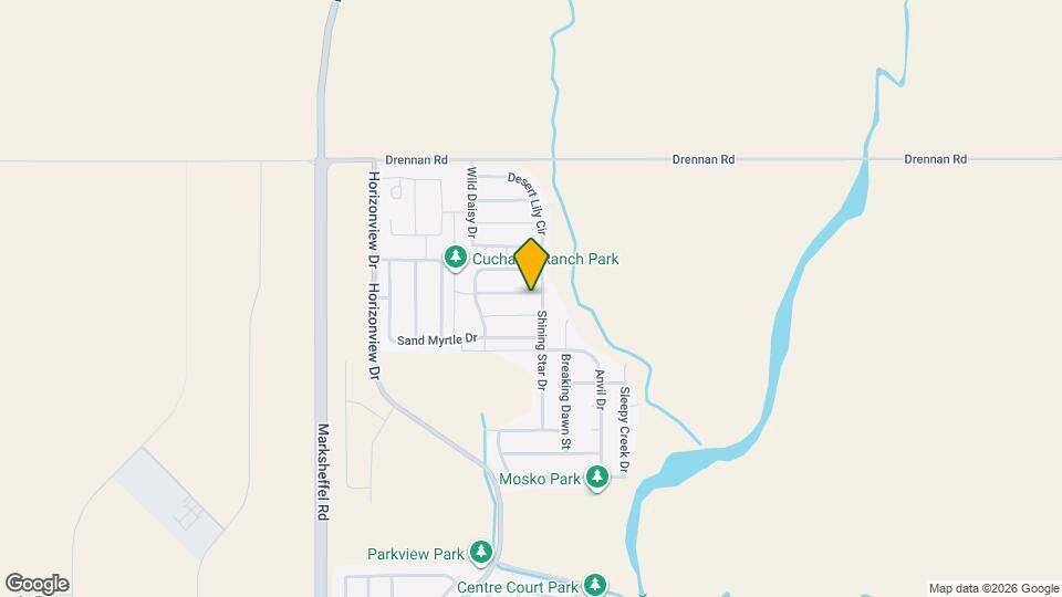 9583 Copper Canyon Ln Mapa y Detalles de la Ubicación