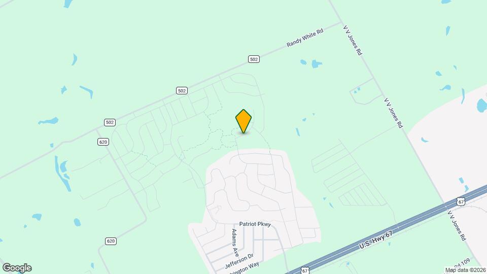 207 Julian Davis Dr Mapa y Detalles de la Ubicación