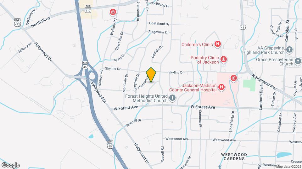 65 Beechwood Dr Mapa y Detalles de la Ubicación