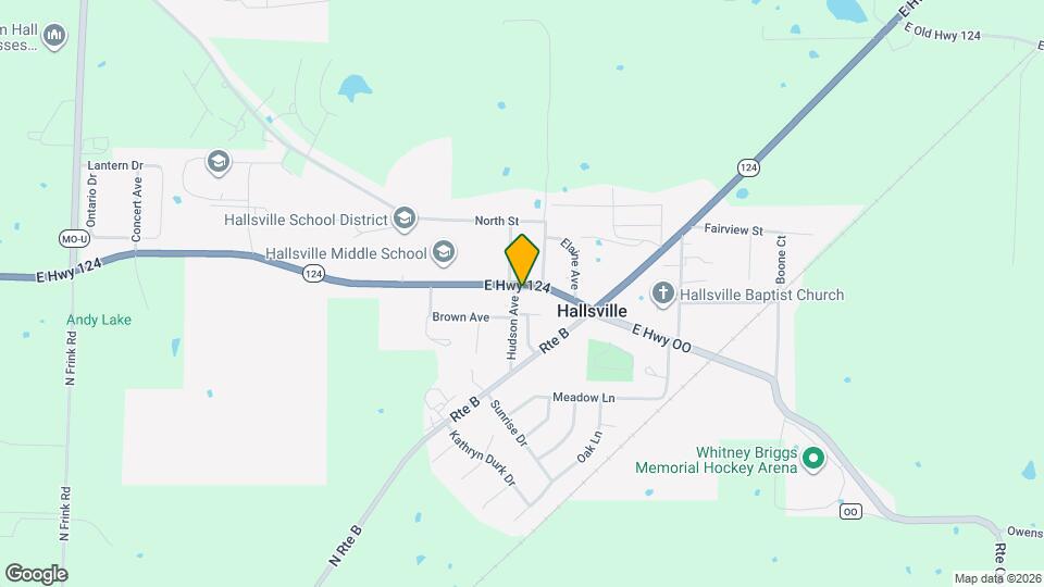 306 MO-124 Mapa y Detalles de la Ubicación