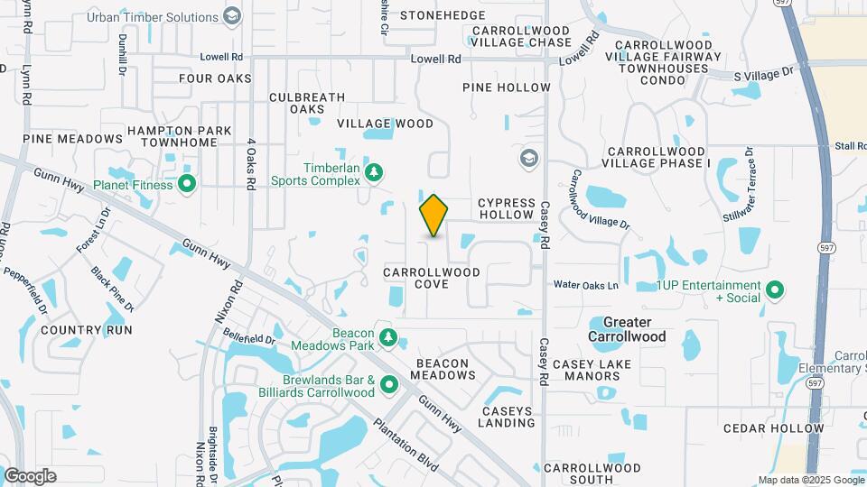 11737 Carrollwood Cove Dr Map and Location Details