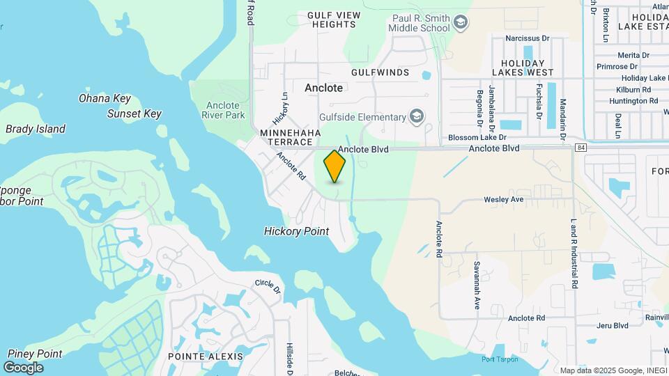 1130 Anclote Rd Map and Location Details