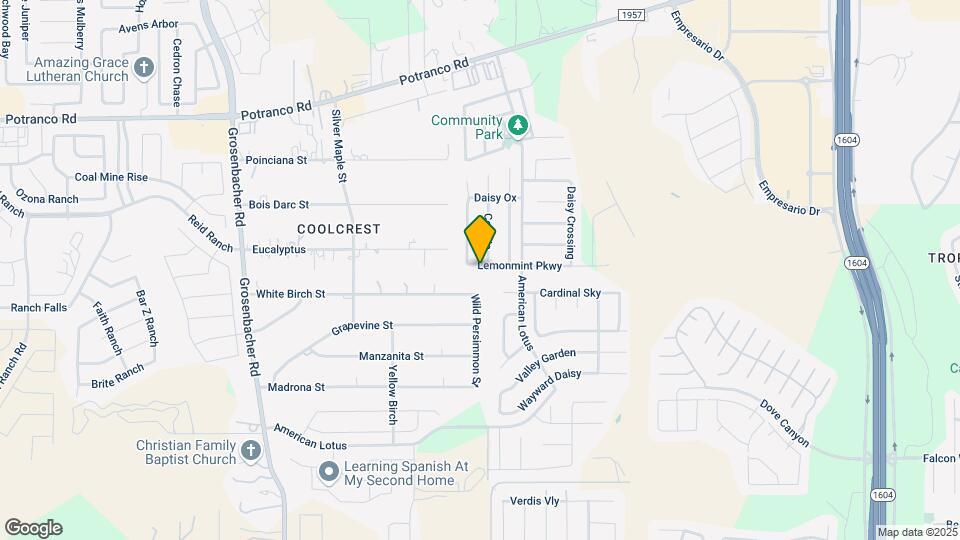 11810 Lemonmint Pkwy Map and Location Details
