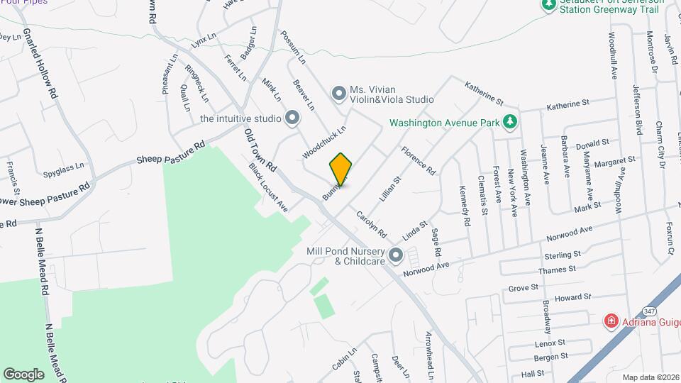 8 Bunny Ln Mapa y Detalles de la Ubicación