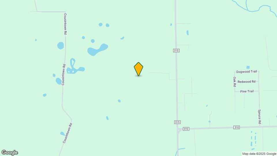 299 Cayenne St Map and Location Details