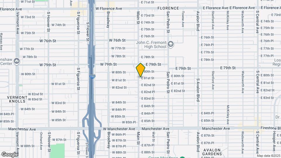 100 E 81st St Map and Location Details