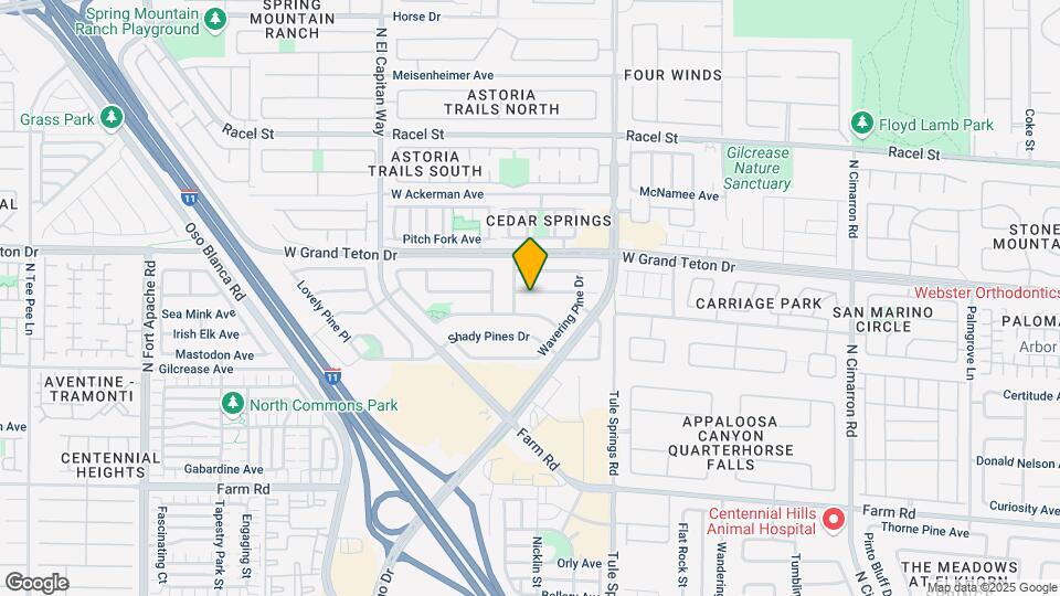8545 Gracious Pine Ave Mapa y Detalles de la Ubicación