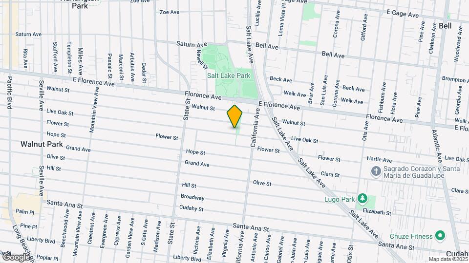 3425 Live Oak St Map and Location Details