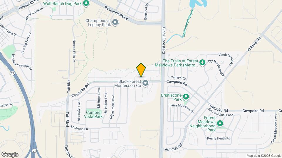 6729 Black Saddle Dr Map and Location Details